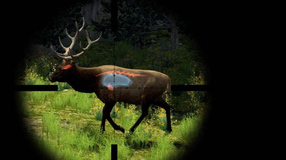 Cabelas Big Game Hunter 2010