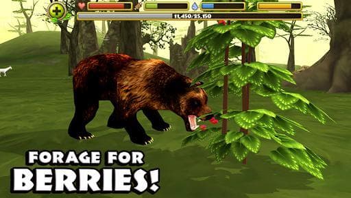 Wildlife Simulator: Bear