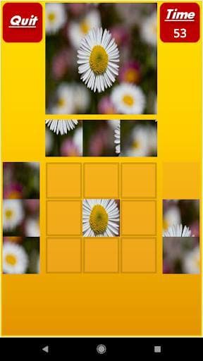 Puzzle My Mind Pro screenshot 5
