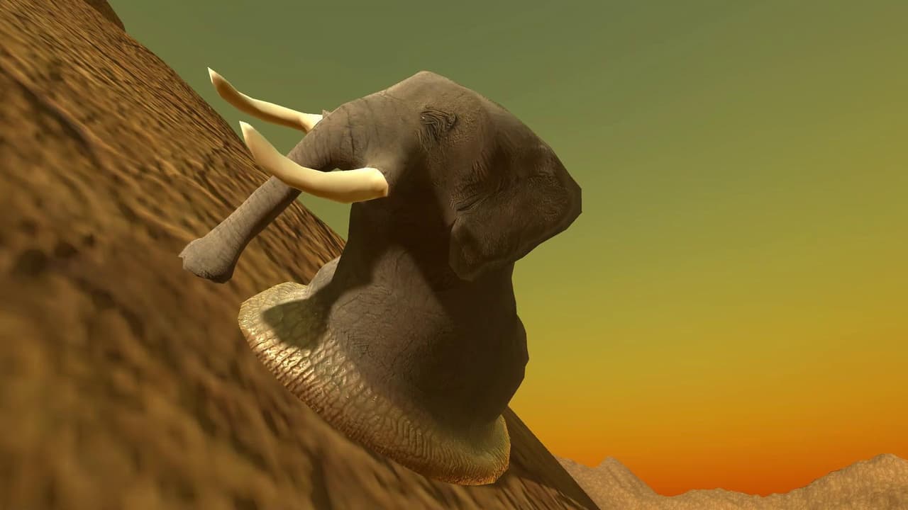 Elephantidae Gastropod Mollusc screenshot 3
