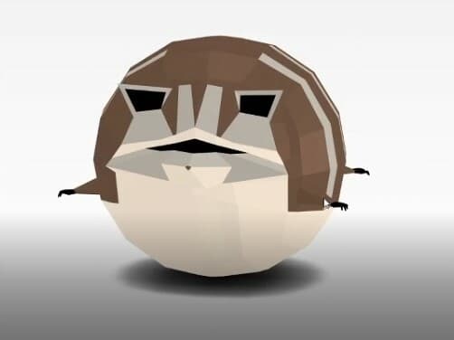 Raccoon in a Loop