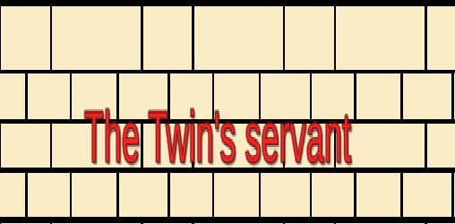 The Twins servant