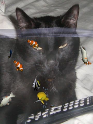 Fish Fingers! 3D Interactive Aquarium FREE screenshot 4