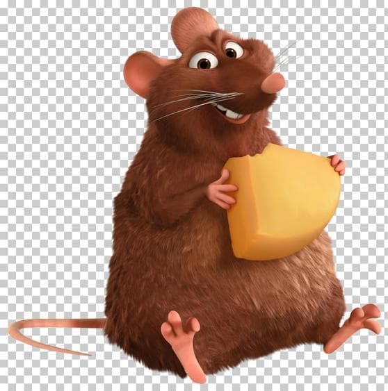 A Rats Tale Remastered