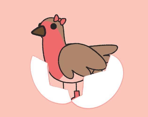 Hatch a birdpun