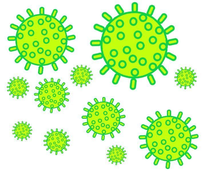 Germ Journey