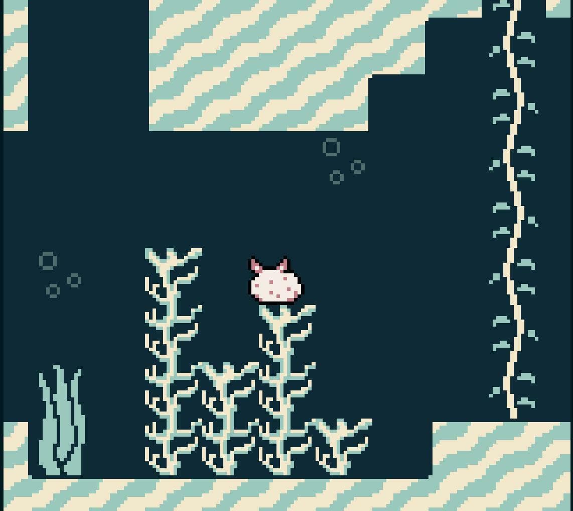 funny slug game (ludum dare 48) screenshot 4