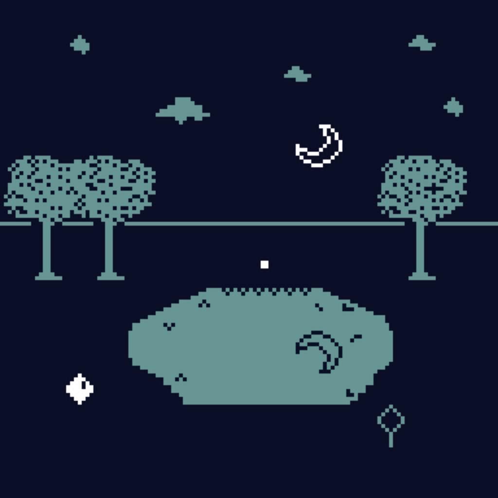 The Pond in the Woods