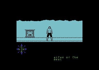 Tir Na Nog screenshot 3