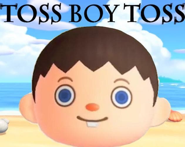Toss Boy Toss