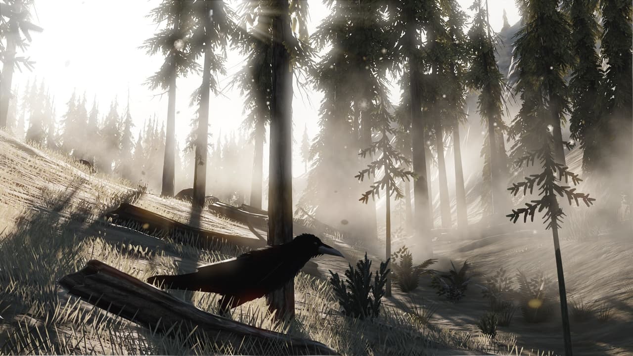 TOTM screenshot 3