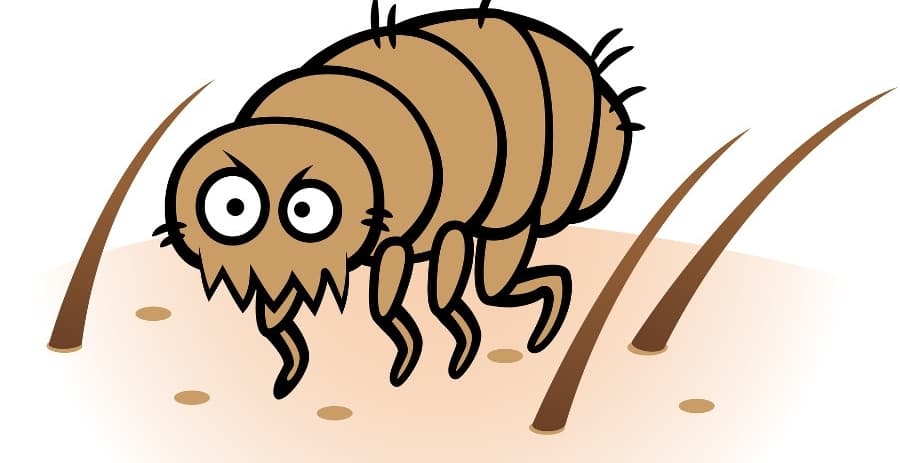 fleas - awsome - full version screenshot 4