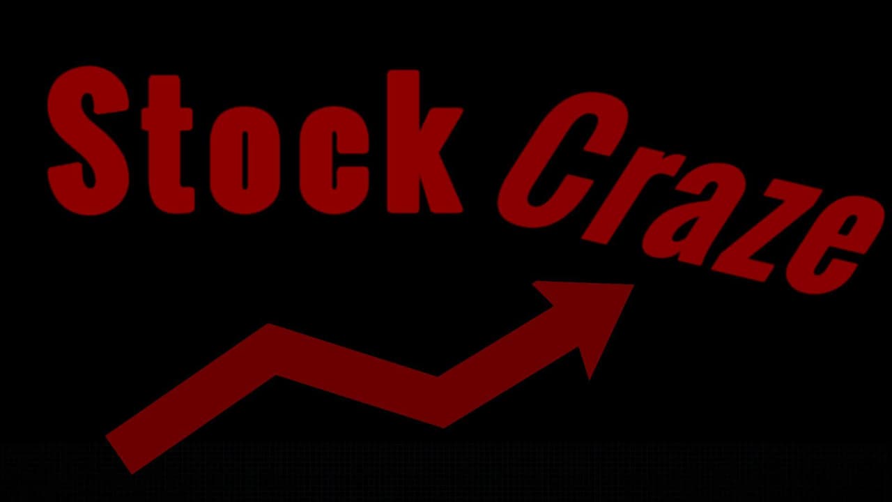 Stock Craze screenshot 2
