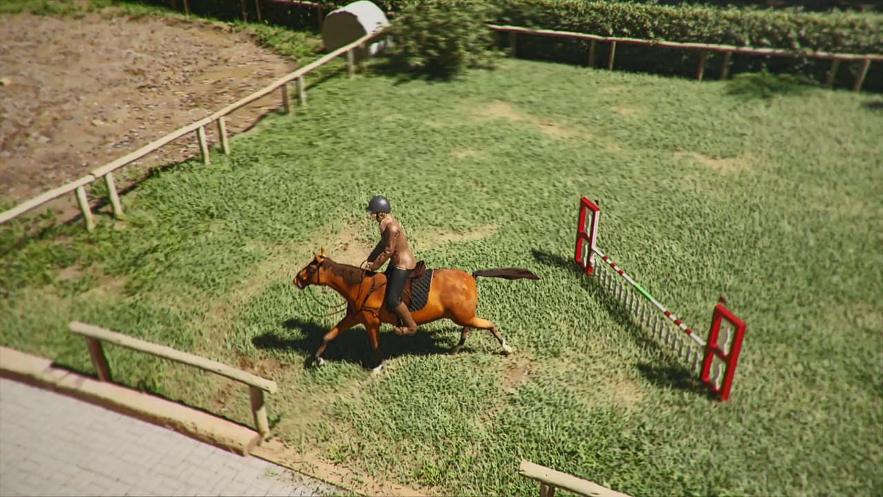 Horse Shelter 2022 screenshot 4