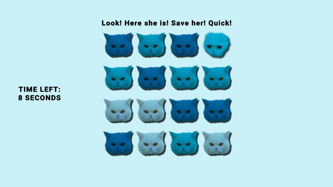 Purrfect Detective: Find Coots screenshot 4