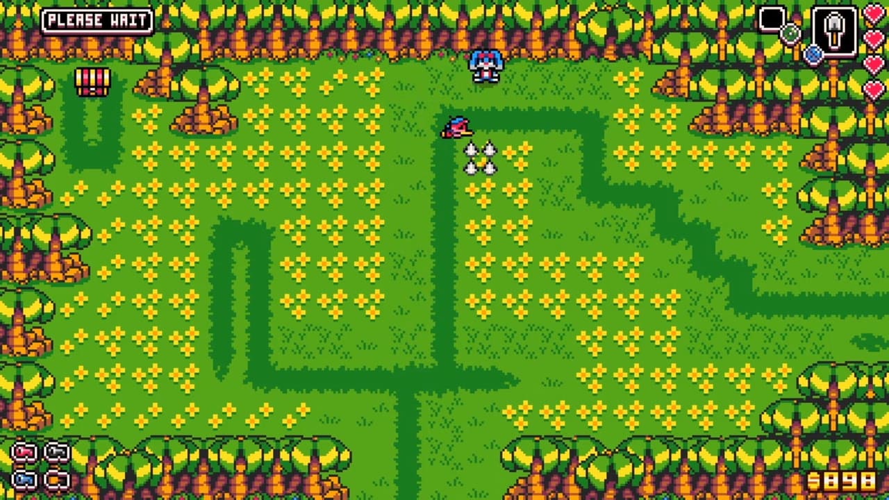 Dandy & Randy screenshot 4