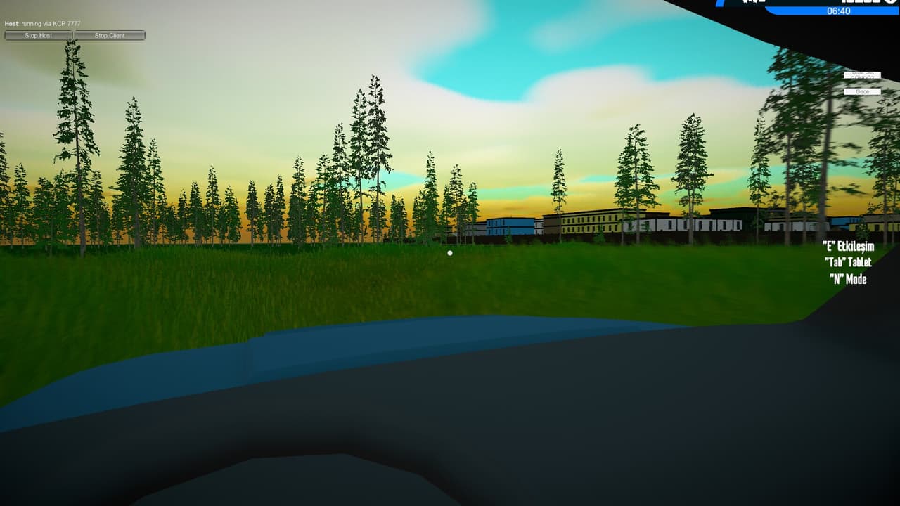 Illegal Simulator
