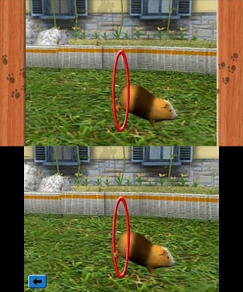 Me & My Pets 3D screenshot 3