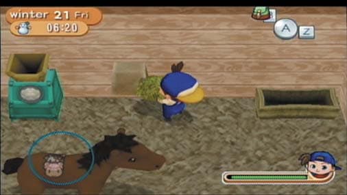 Harvest Moon: Magical Melody screenshot 5