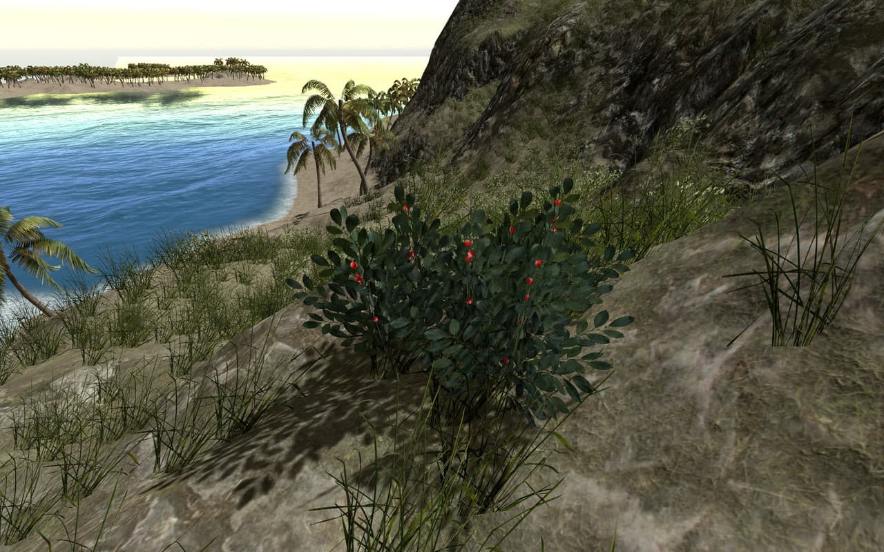 Lost in Nature