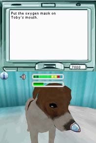 Pet Pals: A New Leash on Life