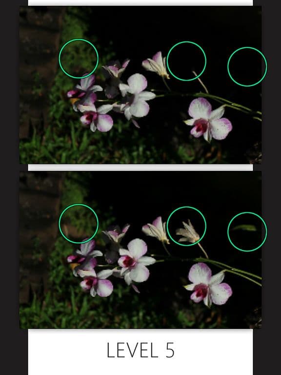 Find Differences Final screenshot 3