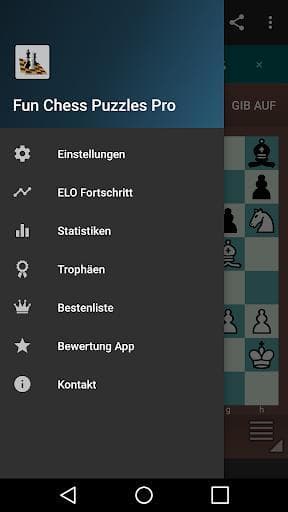 Fun Chess Puzzles Pro