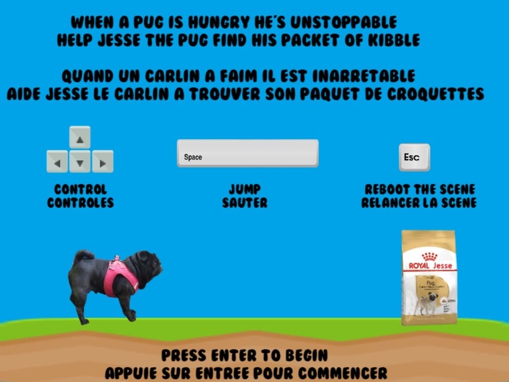Jesse the Pug