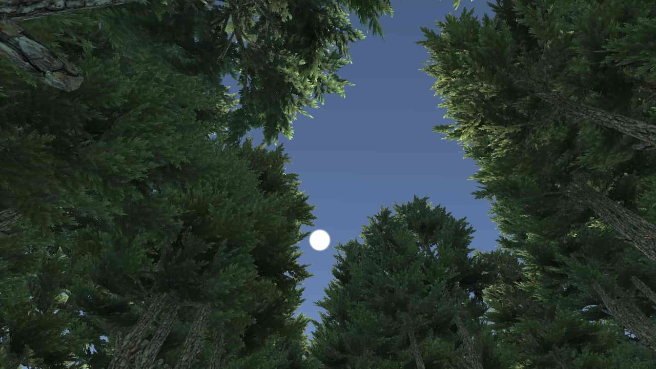 The Woods (itch) (mikesgames878)