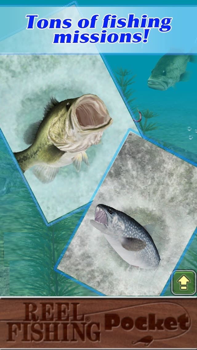 Reel Fishing Pocket screenshot 4