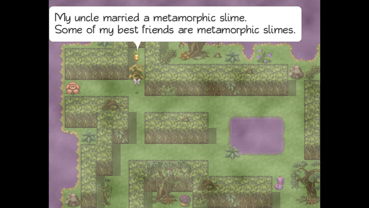 The Legend of Protey screenshot 4