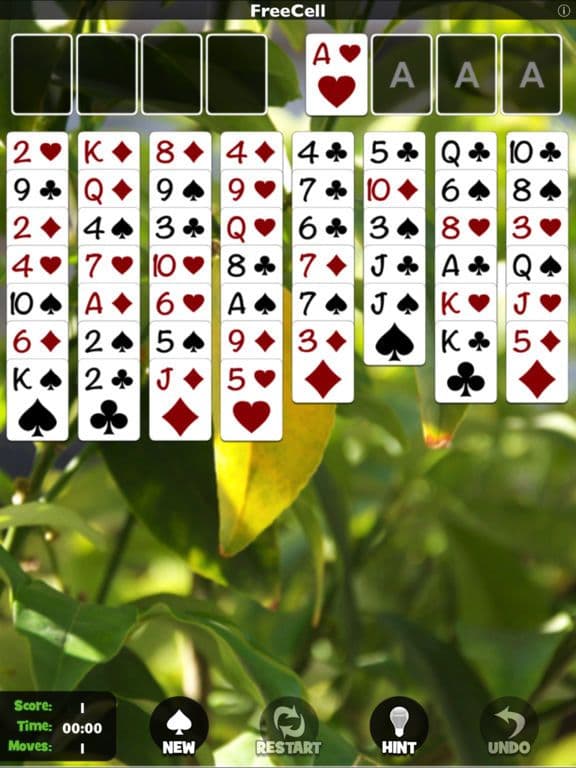 FreeCell [Pokami]