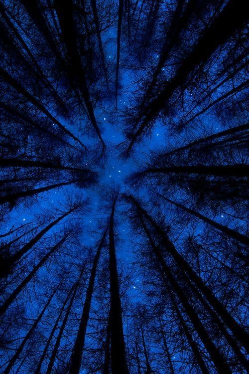 Have you ever seen a view like this before?