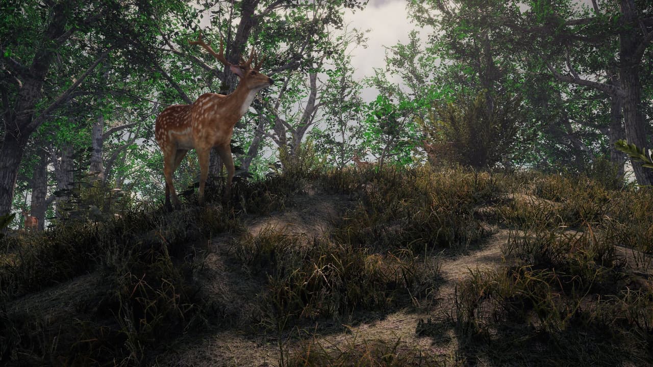 Nature Tech Demo