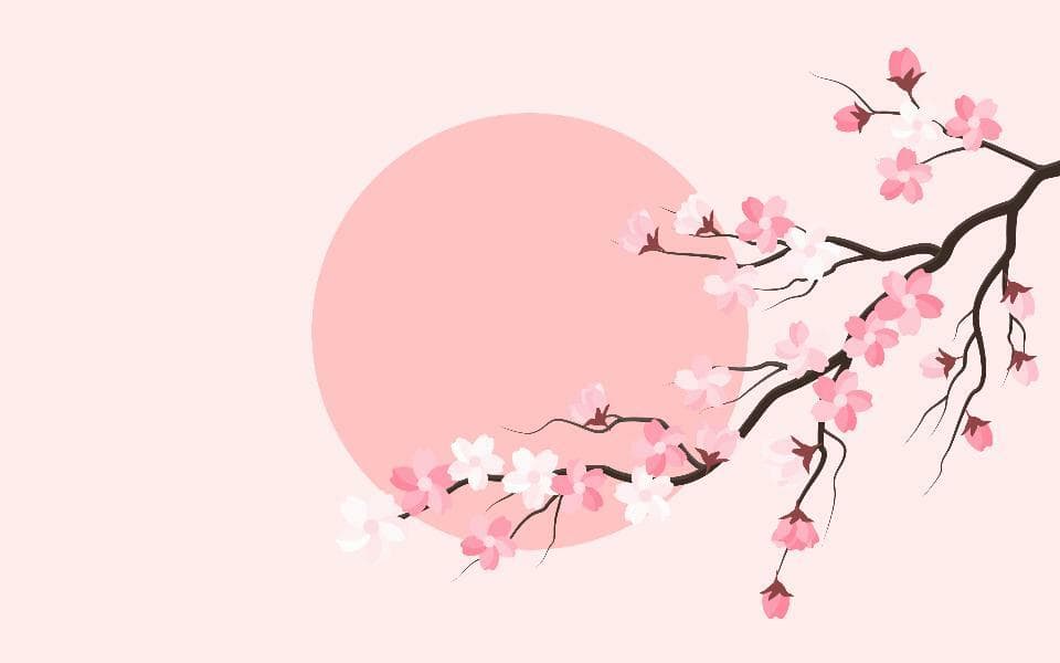 SAKURA サクラ