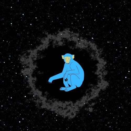 VOID MONKEYS TEST