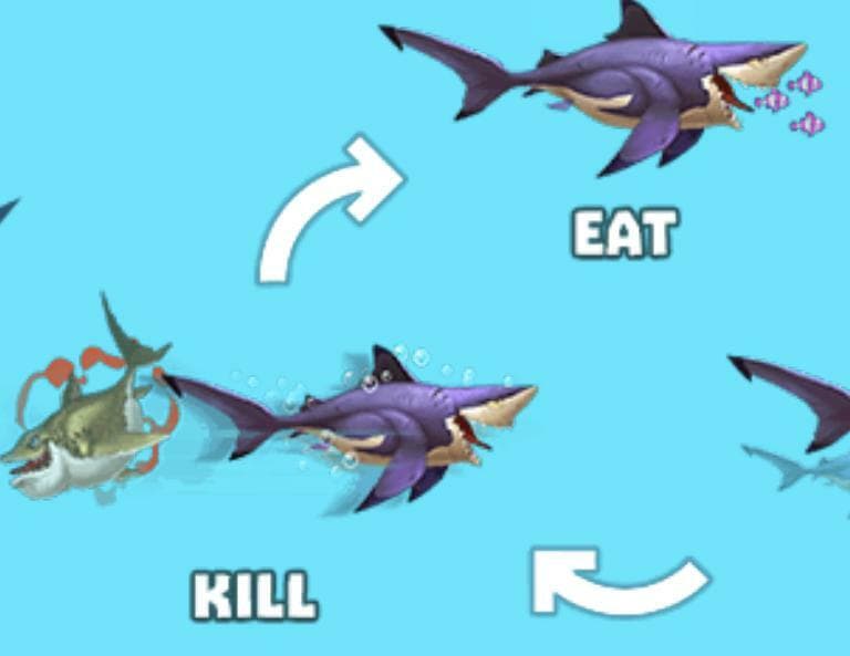 hungry shark arena