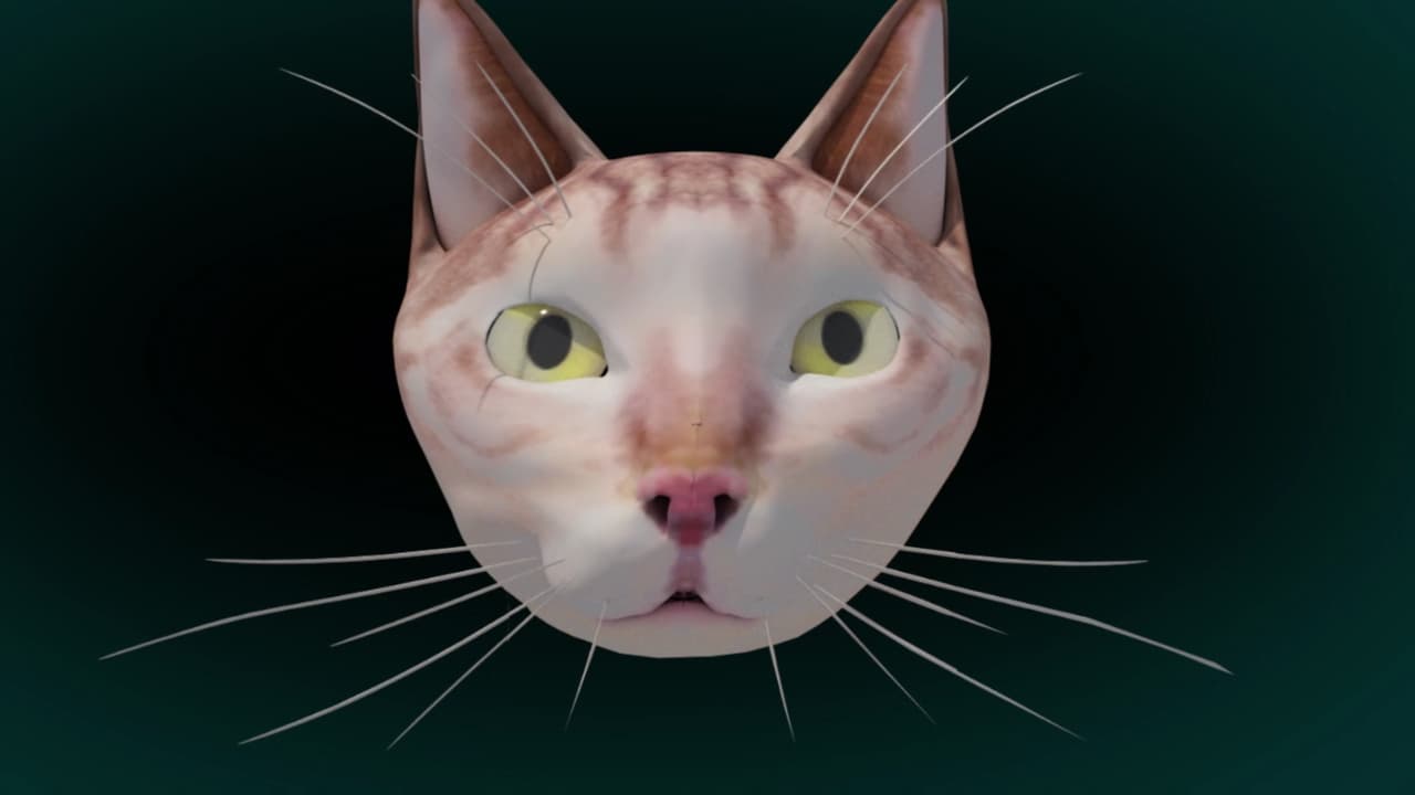 SIMBA THE CAT screenshot 3