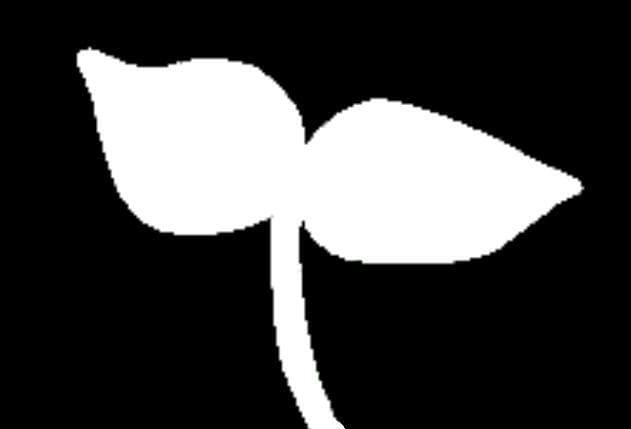 En Root