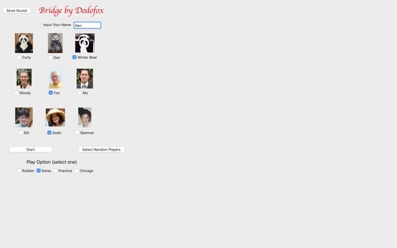 Bridge by Dodofox screenshot 4