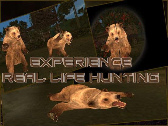 Wild Bear Hunter 2016: Jungle Beast Hunting Simulation 3d: full fun free game screenshot 3