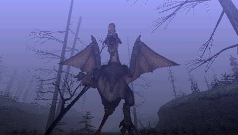 Monster Hunter Freedom screenshot 6