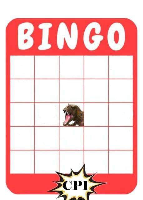 Bingo da CPI