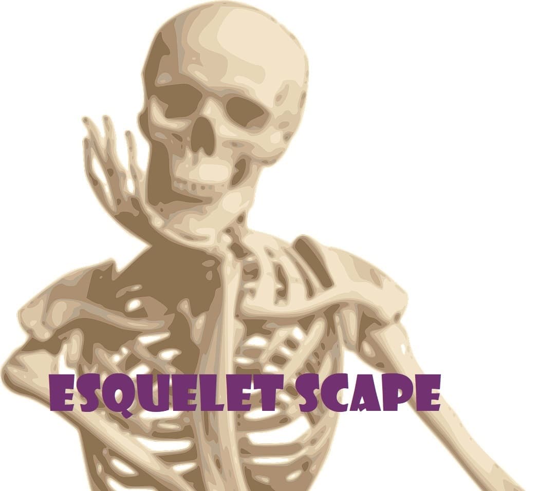 Esquelet scape