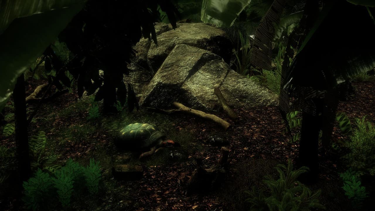 The Red-Footed Tortoise screenshot 2