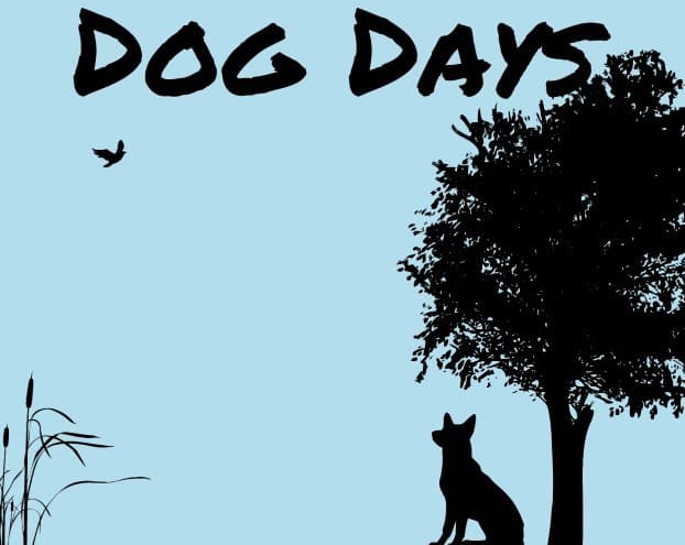 Dog Days (Kain)