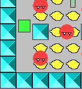Shape Course