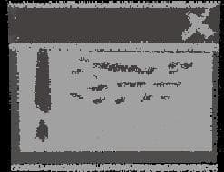 Goldmines, PI