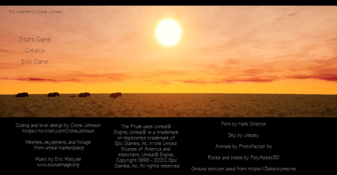 The Pride: life as a lion