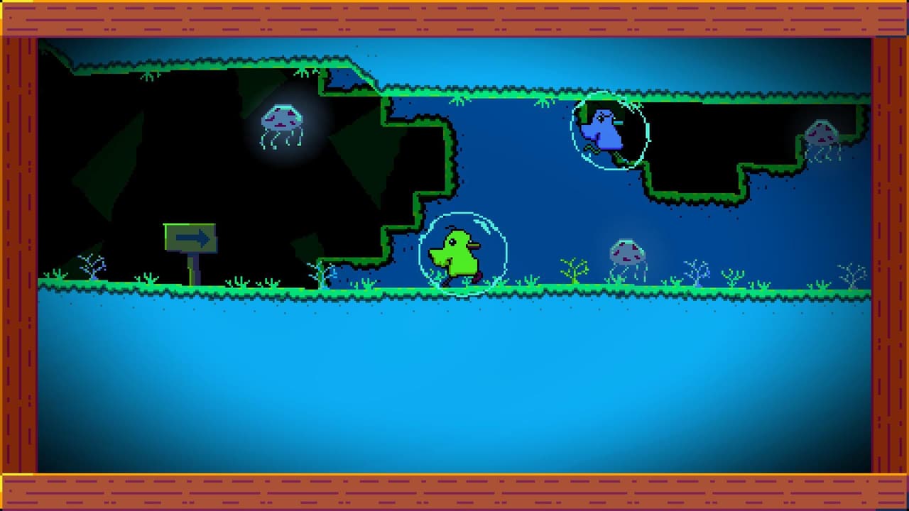 Duck Run (itch) (Cube Legal)